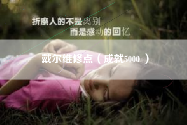 戴尔维修点（成就5000 ）