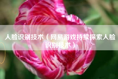 人脸识别技术（网易游戏持续探索人脸识别技术）