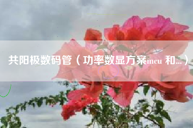 共阳极数码管（功率数显方案mcu 和...）