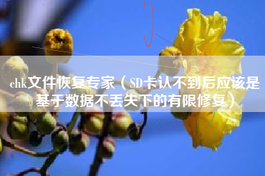 chk文件恢复专家（SD卡认不到后应该是基于数据不丢失下的有限修复）
