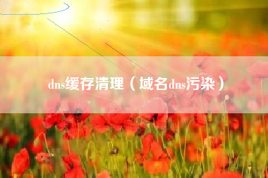 dns缓存清理（域名dns污染）