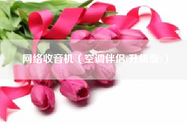 网络收音机（空调伴侣(升级版)）