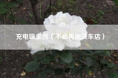 充电吸尘器（不必再跑洗车店）