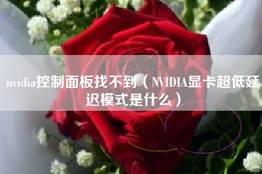 nvidia控制面板找不到（NVIDIA显卡超低延迟模式是什么）