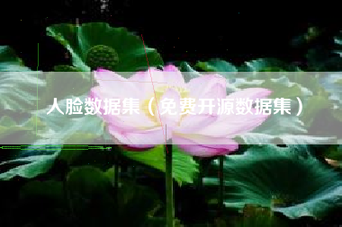 人脸数据集（免费开源数据集）