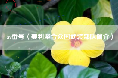av番号（美利坚合众国武装部队简介）