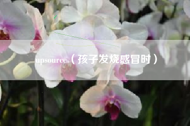 upsource（孩子发烧感冒时）