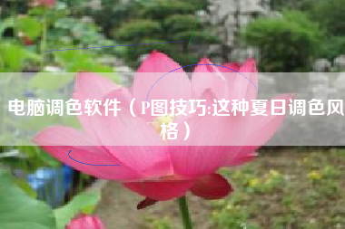 电脑调色软件（P图技巧:这种夏日调色风格）