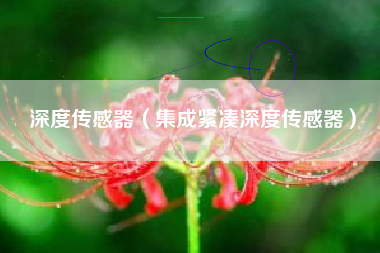 深度传感器（集成紧凑深度传感器）
