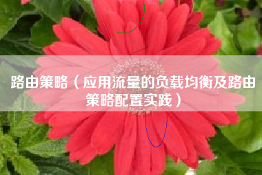 路由策略（应用流量的负载均衡及路由策略配置实践）