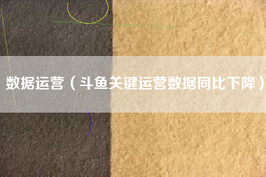 数据运营（斗鱼关键运营数据同比下降）