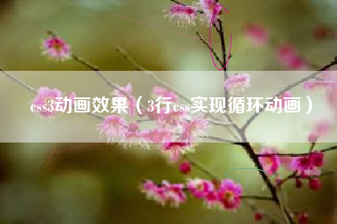 css3动画效果（3行css实现循环动画）