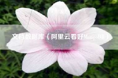 文档数据库（阿里云看好MongoDB）