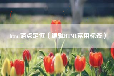 html锚点定位（编辑HTML常用标签）