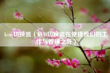 kvm切换器(KVM切换器在便捷我们的工作与管理之外)
