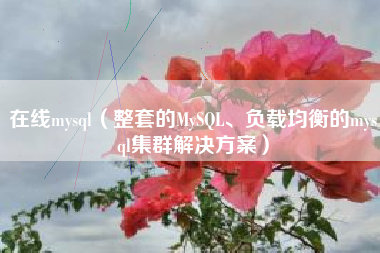 在线mysql（整套的MySQL、负载均衡的mysql集群解决方案）