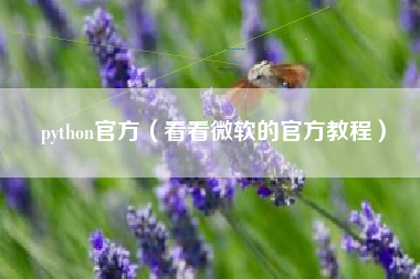 python官方（看看微软的官方教程）