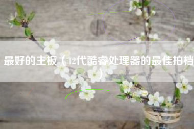 最好的主板（12代酷睿处理器的最佳拍档）