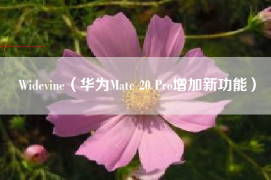Widevine(华为Mate 20 Pro增加新功能)