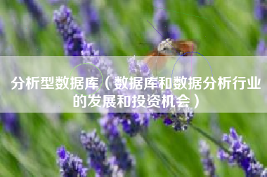 分析型数据库（数据库和数据分析行业的发展和投资机会）