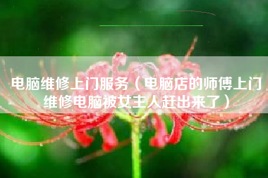 电脑维修上门服务（电脑店的师傅上门维修电脑被女主人赶出来了）