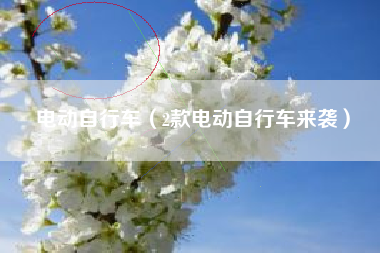 电动自行车（2款电动自行车来袭）