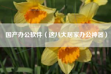国产办公软件（这八大居家办公神器）