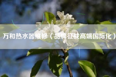 万和热水器维修（品牌征战高端国际化）