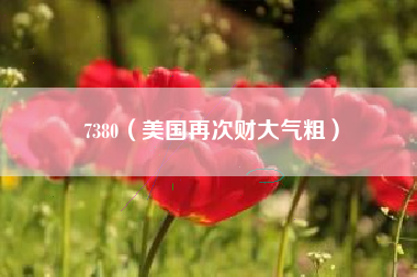7380（美国再次财大气粗）