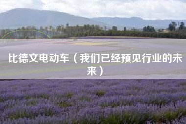 比德文电动车（我们已经预见行业的未来）