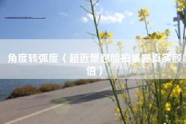 角度转弧度(超近景怼脸拍暴露真实颜值)