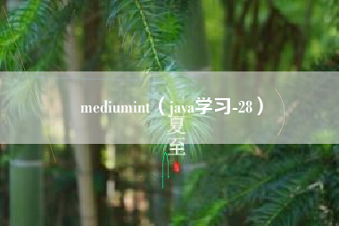 mediumint（java学习-28）