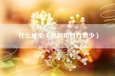 什么是类(书到用时方恨少)
