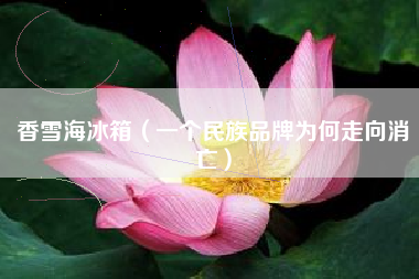 香雪海冰箱（一个民族品牌为何走向消亡）