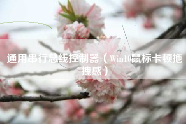 通用串行总线控制器（Win10鼠标卡顿拖拽感）