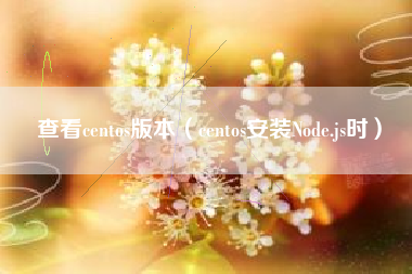 详细阅读:查看centos版本(centos安装Node.js时) 查看centos版本(centos安装Node.js时)
