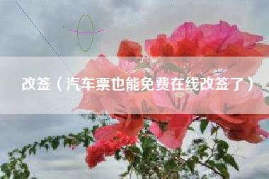 改签（汽车票也能免费在线改签了）
