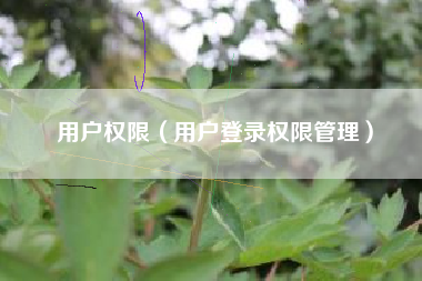 用户权限（用户登录权限管理）