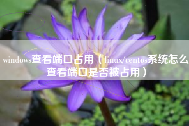 windows查看端口占用（linux/centos系统怎么查看端口是否被占用）