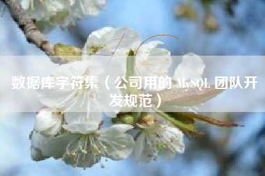 数据库字符集（公司用的 MySQL 团队开发规范）