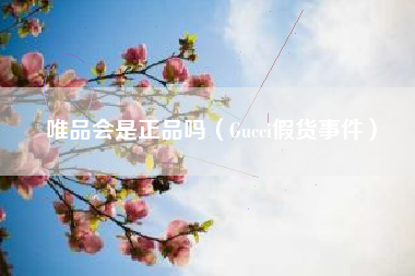 唯品会是正品吗（Gucci假货事件）