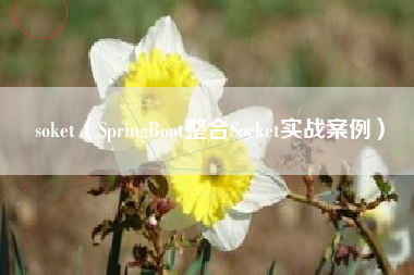 soket(SpringBoot整合Socket实战案例)