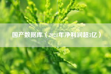 国产数据库（2021年净利润超3亿）