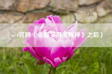 ue4官网（全面学习《原神》之后）
