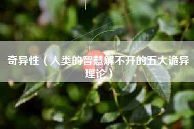 奇异性（人类的智慧解不开的五大诡异理论）
