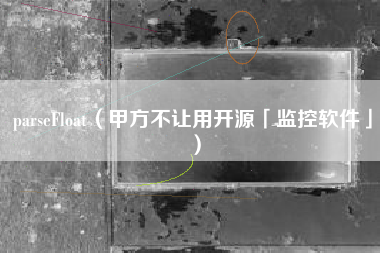 parseFloat（甲方不让用开源「监控软件」）