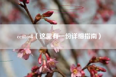 centos8（这里有一份详细指南）