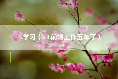 js学习（web前端工作五年了）