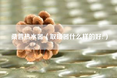 桑普热水器（取暖器什么样的好?）
