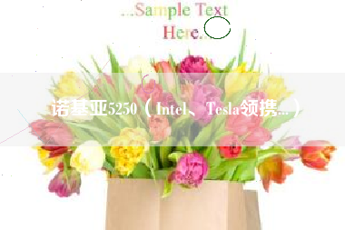 诺基亚5250（Intel、Tesla领携...）
